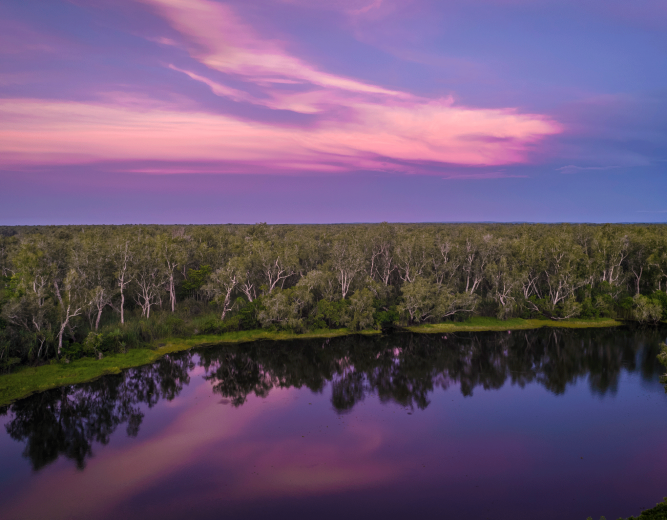 Finniss River