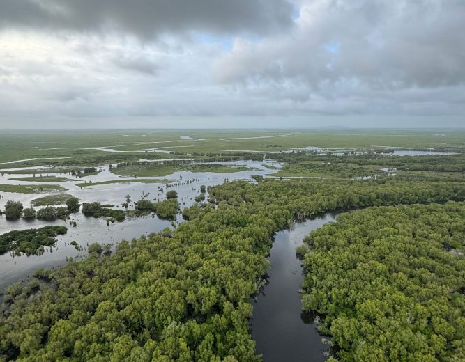 Finniss-River_NT