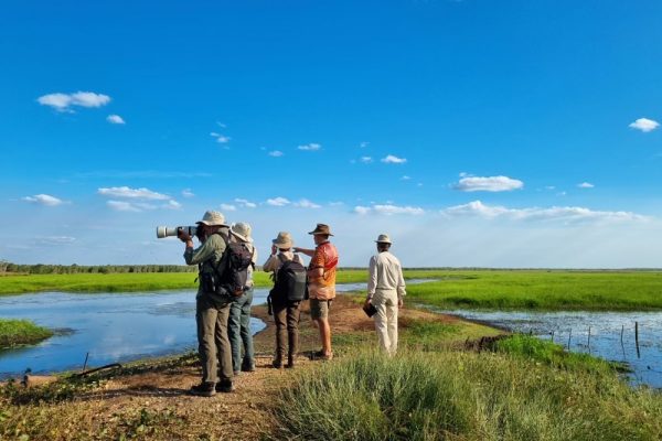 Bird Watching and Photography